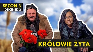 KRÓLOWIE ŻYTA Sezon 3 odc 2 I Kabaret Malina [upl. by Shellans]