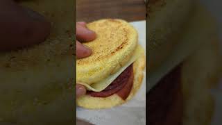 Sandwiches of Canada  Wilensky Special  Montreal QC  Sandwich Dad [upl. by Eanat670]