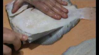 Steinbutt filetieren  How to filet turbot [upl. by Petie886]