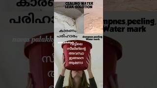 ശ്രദ്ധിച്ചില്ല എങ്കില്‍ കമ്പി കാണും അടര്‍ന്നു തലയില്‍ വീഴുംconstruction painting waterproofing [upl. by Meli826]