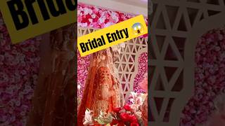 Grand Entry 😱😱 bridal shorts viralvideo trending hotel clarion [upl. by Attegroeg507]