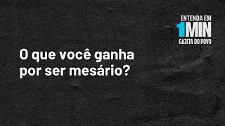 O que você ganha por ser mesário  Entendaem1Minuto [upl. by Nyvets]