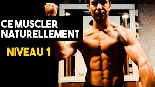 5 min par jours Renforcement MUSCULAIRE complet  Niveau 1  Bras et jambes  Musculation naturelle [upl. by Orran664]