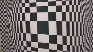 Vasarely el artista que engañaba al ojo en el Thyssen [upl. by Kling]