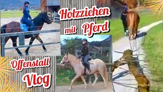 Pferde Vlog 🐴 FMA am Offenstall 🏡 Jungpferd reiten 💩 Matschfreier Paddock bei Starkregen amp Gatsch [upl. by Lon175]