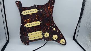 HSS Prewired Pickguard Loaded with Alnico 5 pickups [upl. by Brewster422]