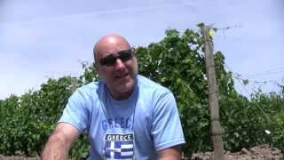 MarquisTV Episode 13 The Terroir of Walla Walla amp Milton Freewater [upl. by Banebrudge]