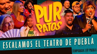 Escalamos el teatro de Puebla  Pur de Patos PUEBLA [upl. by Novahs]