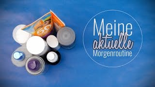 MEINE AKTUELLE MORGENROUTINE  Incipedia [upl. by Ainafetse452]