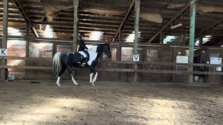 Cheer Me On Lady Luck with Lila up Class 49 English Pleasure Youth Open WT American Saddlebred [upl. by Aina425]