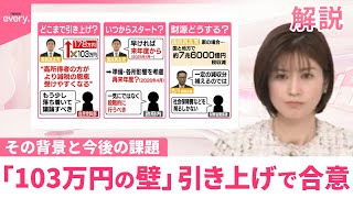 【解説】「103万円の壁」引き上げ、自公国が合意 その背景と今後の課題 [upl. by Roxi]