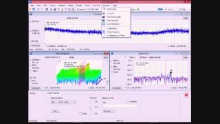 RSA306 Demo FM Radio Demodulation [upl. by Sseb]