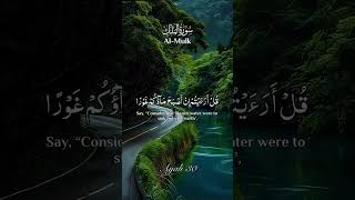 Surah Al Mulkسورہ الملك qurantilawat quranrecitation اكسبلور surahmulk [upl. by Shari]