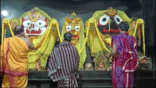 Shri Jagannath Sandhya Arati Darshan 🙏  29Nov2024 jagannathaarti [upl. by Ydolem]