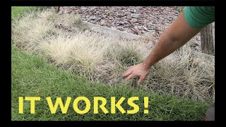 DIY Weed Killer that is SAFE and EFFECTIVE [upl. by Ydnas725]