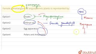 Female gametangium of angiospermic plants is represented by [upl. by Astiram]