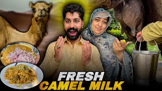 FRESH CAMEL MILK  LAHORE STREET FOOD  PAKISTAN FOOD STREET [upl. by Aehsrop]