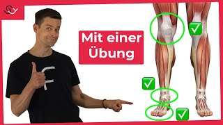 Starke Knie Füße und Sprunggelenke  Mit nur einer Übung [upl. by Damien]