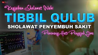 Sholawat Tibbil Qulub MERDU Terbaru Sholawat Nabi Muhammad SAW Obat Penyembuh Sakit Penuh Berkah [upl. by Ennairb]