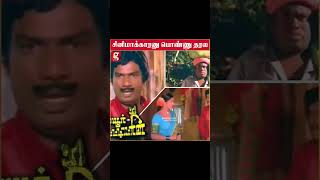 சினிமாக்காரனு ஊருல யாரும் பொண்ணு தரல  Senthil 1st Ever Couple Interview  Family  Tamil Cinema [upl. by Yllehs668]