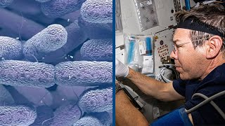 The Mutant Bacteria of the International Space Station [upl. by Roze]