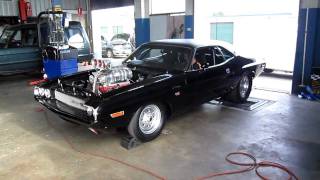 1600HP Dodge Challenger Dyno Run Australia [upl. by Eillime]