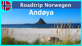 Das stille Andøya  Roadtrip Norwegen Teil 4 [upl. by Cheffetz827]