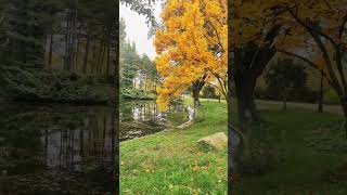 Autumn in Vienna 🍂 Floridsdorfer Wasserpark [upl. by Eneluj720]