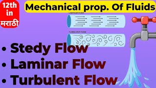 Streamline and Turbulent Flow Concept 12th physics [upl. by Lewls]