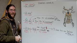 Using Question Words 2  Complex Gaelic Questions [upl. by Ezarra]