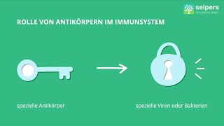 Antigene und Antikörper Experte erklärt [upl. by Lihp]