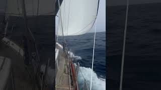 pacific crossing alaska oahu sailboat hawaian boat sailing sailinglife hawaii [upl. by Faunie128]