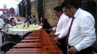 MARIMBA EN COYOACAN 5511291032 [upl. by Ignatia]