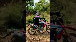 The Honda Rally 300L vs regular Honda CRF 300cc [upl. by Duane]