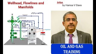 Wellhead Flowlines and Manifolds [upl. by Atims]