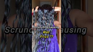 How to Tackle wet Frizz while styling curly hair ✅✨ [upl. by Weirick]