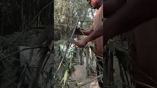 A village boy doing housework is a beautiful picture of a village 02 [upl. by Dnomar]