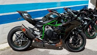 H2 vs Zx10rr vs Zx10r Sound Comparison [upl. by Linkoski4]