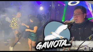 🔥EL EXITO 2024 GAVIOTA  SONIDO EL POBLANO SAN MATIAS COCOYOTLA  TEMA DE ESTRENO [upl. by Pravit]