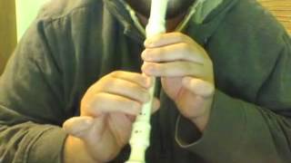 The Lord Of The Rings Theme on recorder [upl. by Pillihpnhoj]