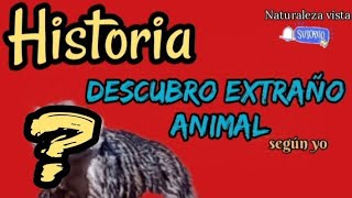 DESCUBRO EXTRAÑO ANIMAL [upl. by Nanreik]