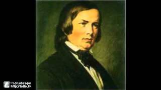 Schumann  Violin Concerto 1st mov [upl. by Salokin]