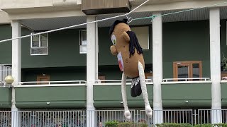 Inicio de Fiestas de Aranbizkarra [upl. by Aiksas]