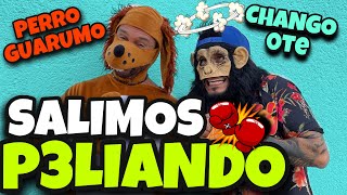 perro guarumo y chango 0te TERMINAMOS MAL [upl. by Annhej]