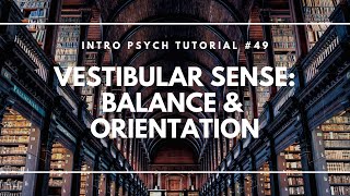 Vestibular Sense Balance amp Orientation Intro Psych Tutorial 49 [upl. by Deenya71]