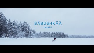 BABUSHKA [upl. by Bocyaj]