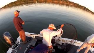 Fishing for MONSTER Muskies in Bemidji Minnesota [upl. by Acemat]