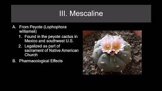 Lecture 20 Psychedelic Drugs Part 1 [upl. by Lanoil990]