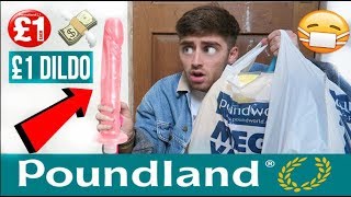 INSANE £500 POUNDLAND HAUL [upl. by Audly]