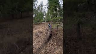 Theres nothing like a wide open climb to make your YZ sing [upl. by Acinorej]